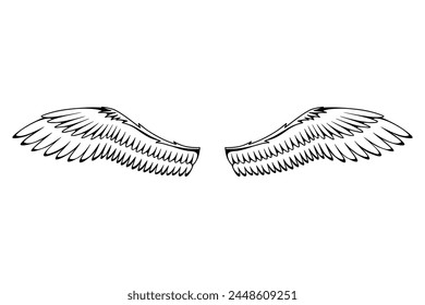 Wings sketch. Stylized birds wings. Hand drawn contoured stiker wing in open position. Vector design elements in coloring style