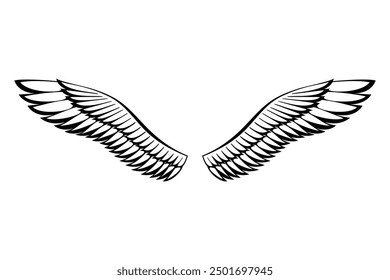 Wings sketch. Stylized birds wings. Hand drawn contoured stiker wing in open position. Vector design elements in coloring style