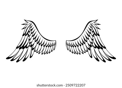 Wings sketch. Stylized birds wings. Hand drawn contoured stiker wing in open position. Vector design elements in coloring style
