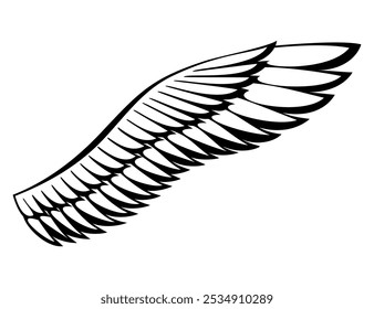 Wings sketch. Stylized birds wings. Hand drawn contoured stiker wing in open position. Vector design elements in coloring style