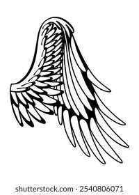 Wings sketch. Stylized birds wings. Hand drawn contoured stiker wing in open position. Vector design elements in coloring style