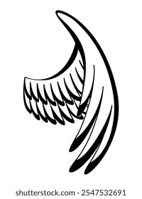 Wings sketch. Stylized birds wings. Hand drawn contoured stiker wing in open position. Vector design elements in coloring style