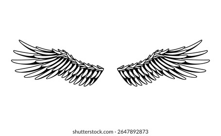 Wings sketch. Stylized birds wings. Hand drawn contoured stiker wing in open position. Vector design elements in coloring style