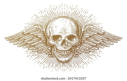 Wings and skull. Winged skeleton in old engraving style. Hand drawn vintage vector illustration