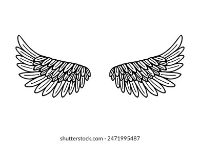 Wings spread, feathers. Vector stock illustration eps10. Isolate on a white background, outline. Hand drawing.