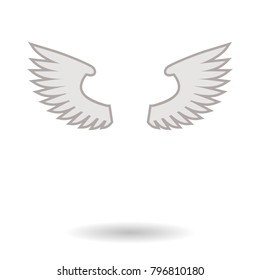 wings template isolated on white background 