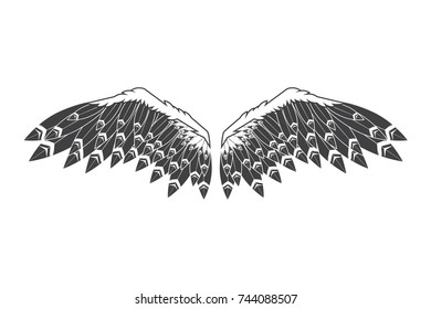 Wings vector 