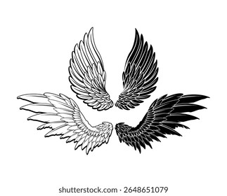wings vector, wings angle, black and white, hawk wing, eagle wings, bird, feather, isolated background, wing set for t-shirt elements, silhouette art of angel wings set for t-shirt elements, 
