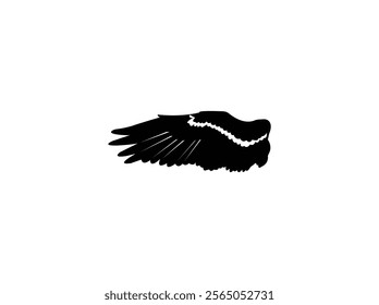 Wings vector Design Art  Illustration