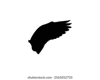 Wings vector Design Art  Illustration