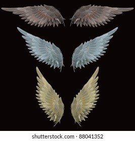 Wings - vector drawing