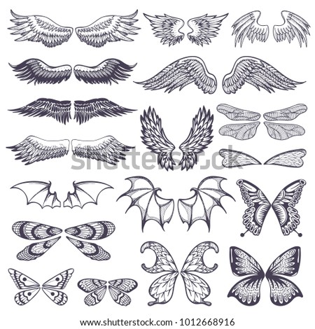 Wings vector flying winged angel with wing-case of bird and butterfly with wingspan illustration black wing-beat tattoo silhouette set isolated on white background