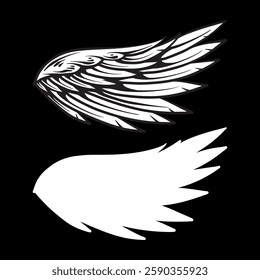 Wings vector hand drawn on black background.