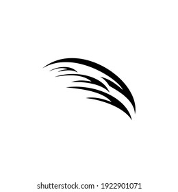 Wings vector icon. Eagle bird heraldic flying Falcon Phoenix Hawk logo.