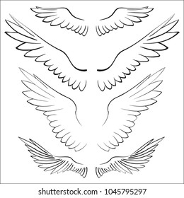 wings, vector illustration