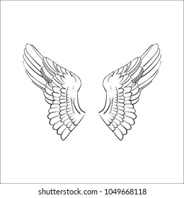 wings, vector illustration