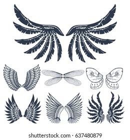 Wings vector illustration.