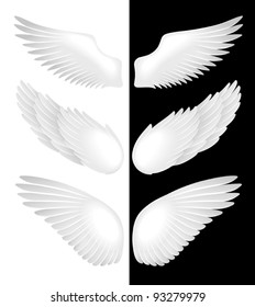 Wings. Vector illustration