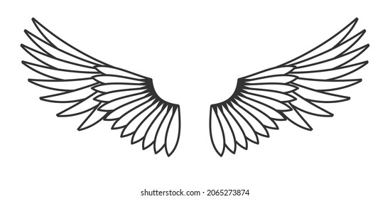 Wings vector illustration. Bird wing silhouette.