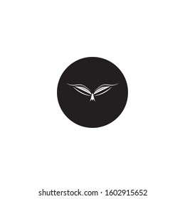 wings vector illustration design icon logo template