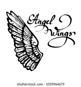 wings vector illustration in lettering