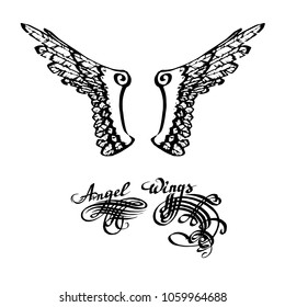 wings vector illustration in lettering