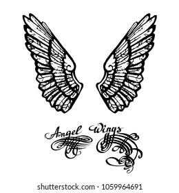 wings vector illustration in lettering