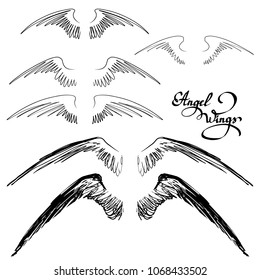 wings vector illustration in lettering
