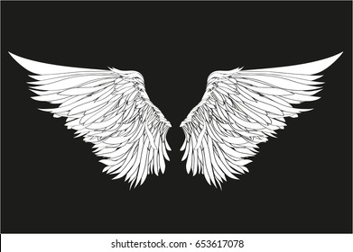 Wings. Vector illustration on black background. Black and white style