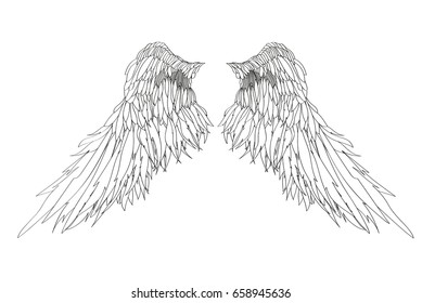 Wings. Vector illustration on black background. Black and white style