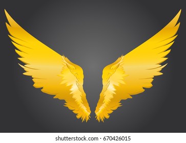 Vector Illustration Set Different Golden Wings Stock Vector (Royalty ...