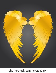 Wings. Vector illustration on dark background. Golden metal