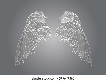 Wings. Vector illustration on grey background. 