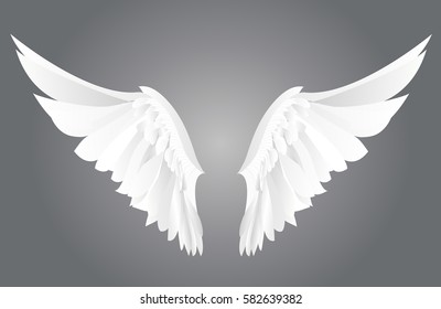 Wings. Vector illustration on grey background.