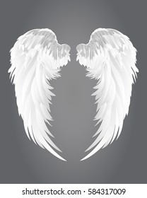 Wings. Vector illustration on grey background.