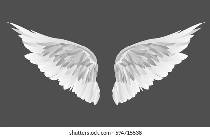 Wings. Vector illustration on grey background.