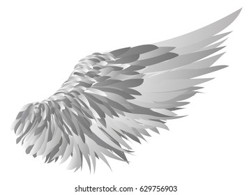 Wings. Vector illustration on grey background.