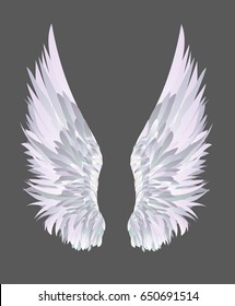 Wings. Vector illustration on grey background.