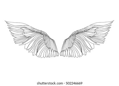Wings. Vector illustration on white background. Black and white style