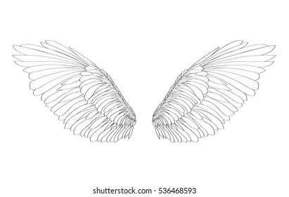 Wings. Vector illustration on white background. Black and white style