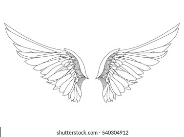 Wings. Vector illustration on white background. Black and white style