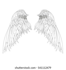 Wings. Vector illustration on white background. Black and white style