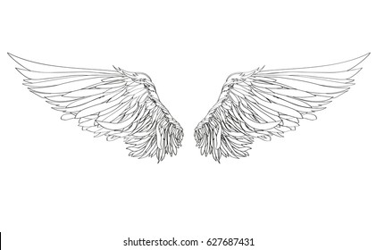 Wings. Vector illustration on white background. Black and white style