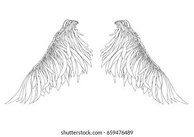 Wings. Vector illustration on white background. Black and white style.