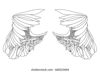 Wings. Vector illustration on white background. Black and white style