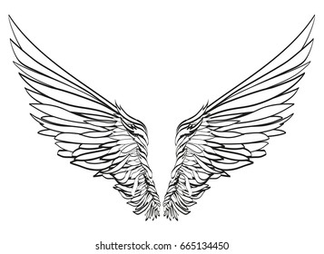 Wings. Vector illustration on white background. Black and white style