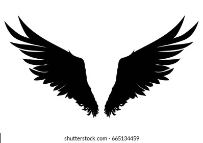 Wings. Vector illustration on white background. Black and white style