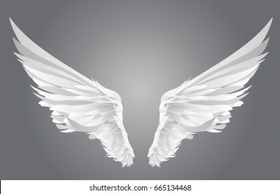 Wings. Vector illustration on white background. Black and white style.