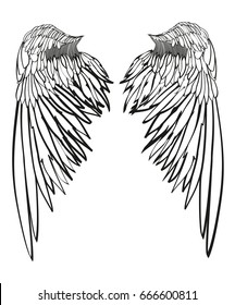 Wings. Vector illustration on white background. Black and white style.