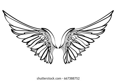 Wings. Vector illustration on white background. Black and white style